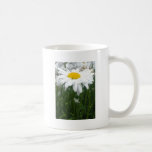 Vitvårdaisy Kaffe Kopp