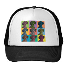 Vizsla Pop-Konst Kepsar