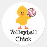 Volleybollchickklistermärkear