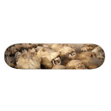 Voodooapahuvud i afrika skateboard deck