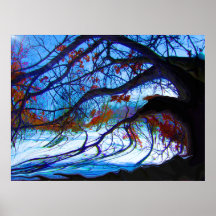 Vriden Oak Print