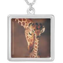 Vuxen giraff med kalven (Giraffacamelopardalis) Personliga Halsband