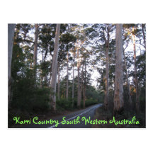 VYKORT - Karri land södra westerna Australien