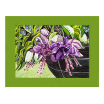 Vykort - "Lisa" fuchsia basket med blommar
