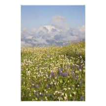 WA Mt.-bagarevildmark, Mt. Shuksan och Fotontryck