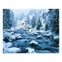 WA Wenatchee nationalskog, kaskad Fototryck