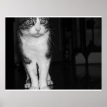 wakko! posters