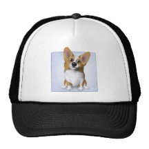 Walesisk Corgi 2 Mesh Kepsar