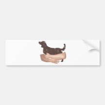 Walesisk SpringerSpaniel Bildekal