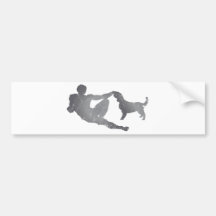 Walesisk SpringerSpaniel Bildekaler