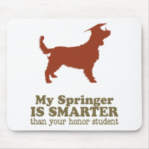 Walesisk SpringerSpaniel Mus Matta