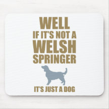 Walesisk SpringerSpaniel Mus Matta