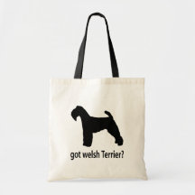 Walesisk Terrier för har Kasse