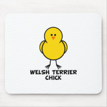 Walesisk Terrierchick Musmatta