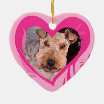 Walesisk Terriervalentin prydnad för hjärta Julgransdekorationer