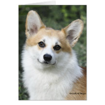 Walesiskt Corgikort för Pembroke