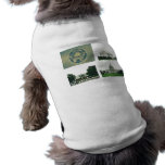 Washington DC Hund Kläder