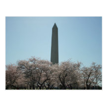 Washington monument, körsbärblommar vykort