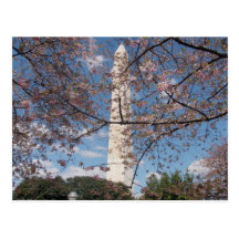 Washington monument vykort