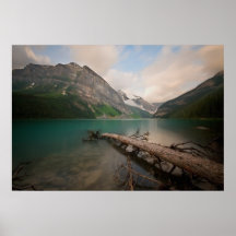 Waterlogged Print