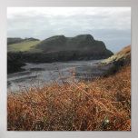 Watermouth Devon, UK. Cliffs. Print