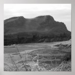 Watermouth Devon, UK. Svart och White. Posters
