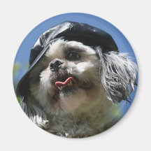Waz upp kylskåpsnagnet