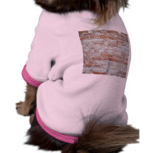 Weathered Brick Wall Pet T-shirt