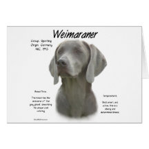 Weimaraner historiedesign hälsningskort