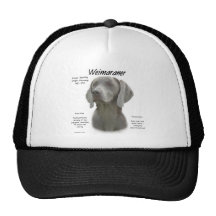 Weimaraner historiedesign keps