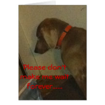 Weimaraner valentin hälsningskort