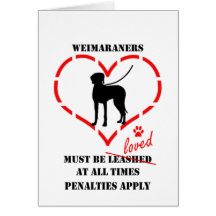 Weimaraners måste älskas kort