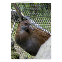 Weka Hälsnings Kort