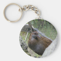 Weka Nyckel Ringar