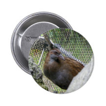 Weka Pins