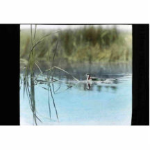 Western dopping photo cutouts