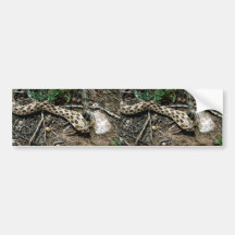 Western Hognose orm Bildekaler