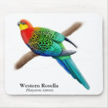 Western Rosella papegoja Mousepad Musmattor