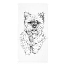 Westie - fotokort