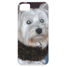 westie iPhone 5 skydd