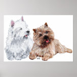 Westie med en brun röseTerrier Posters