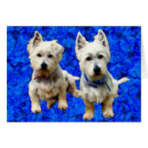 Westies hälsningkort