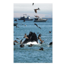 Whale in the Pacific Personalized Stationery
