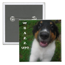 WHAZZUP?! Hund Nål
