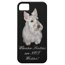Wheaten Scotties är INTE Westies! iPhone 5 Cover