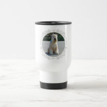 Wheaten Terrier Muggar