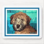 WHEATEN TERRIER: VÅT VALP MUSMATTA