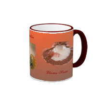 Whelk vänstersidavänden, nautilusen, den skräddars kaffe kopp