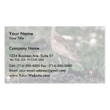 Whimbrel Visitkort Mall