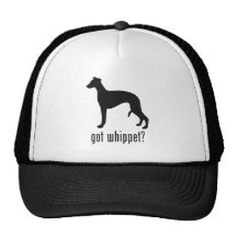 Whippet Kepsar